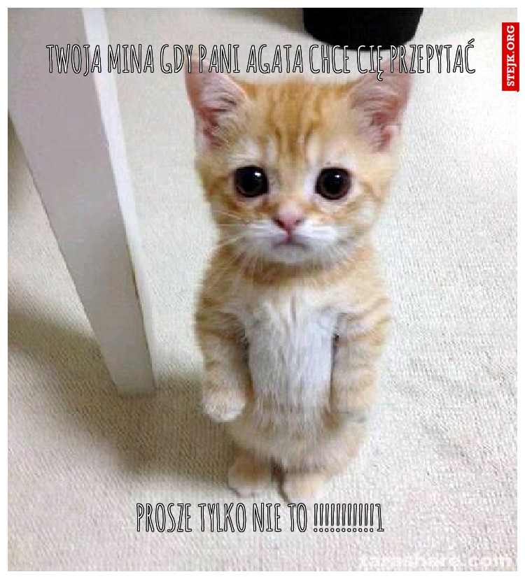 prosze tylko nie to !!!!!!!!!!!1