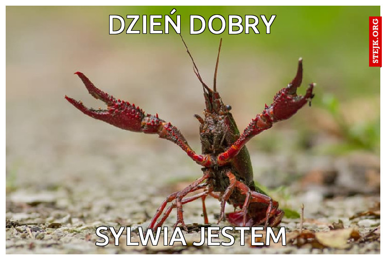 DZIEŃ DOBRY