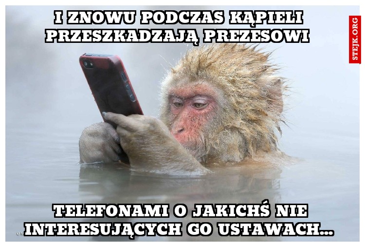 I znowu podczas kąpieli przeszkadzają prezesowi 