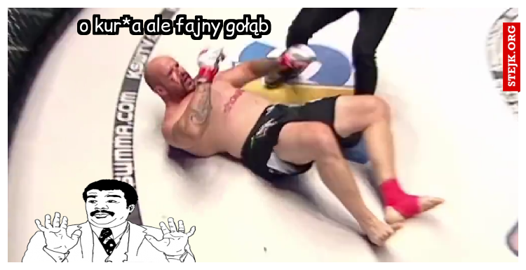 o kur*a ale fajny gołąb
