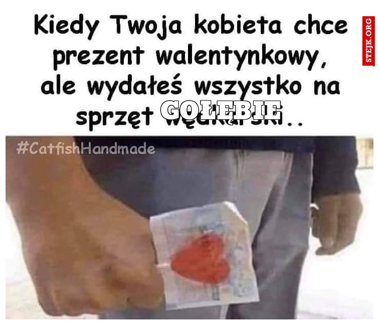 gołębie 