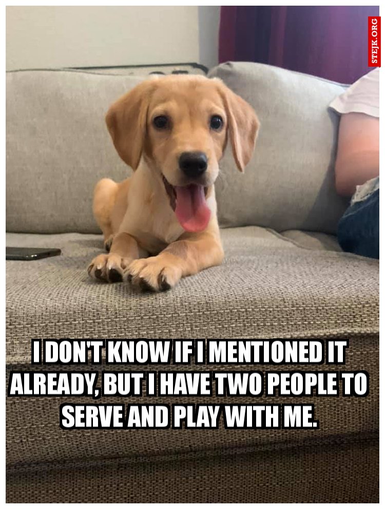 I don't know if I mentioned it already, but I have two people to serve and play with me.