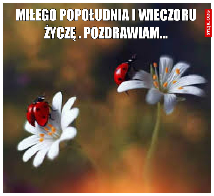 miłego popołudnia i wieczoru życzę . pozdrawiam...