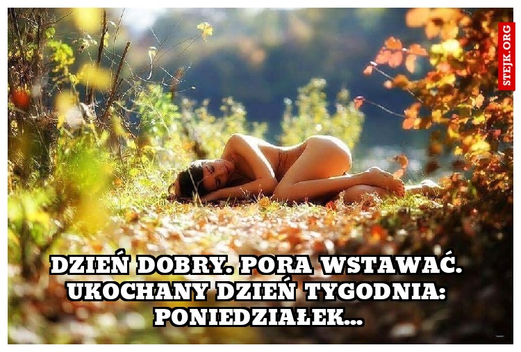 Dzień dobry. Pora wstawać. Ukochany dzień tygodnia: Poniedziałek...