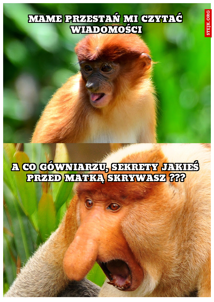 Mame przestań mi czytać wiadomości