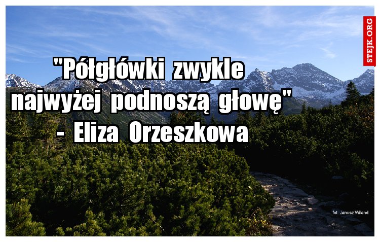 "Półgłówki  zwykle  najwyżej  podnoszą  głowę"  -  Eliza  Orzeszkowa