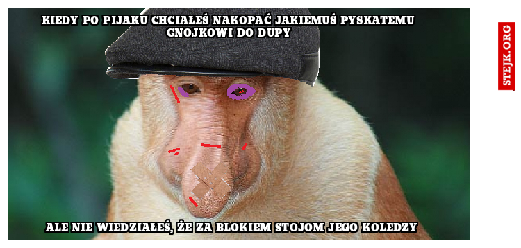 Kiedy po pijaku chciałeś nakopać jakiemuś pyskatemu gnojkowi do dupy
