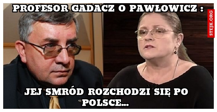 Profesor Gadacz o Pawłowicz :