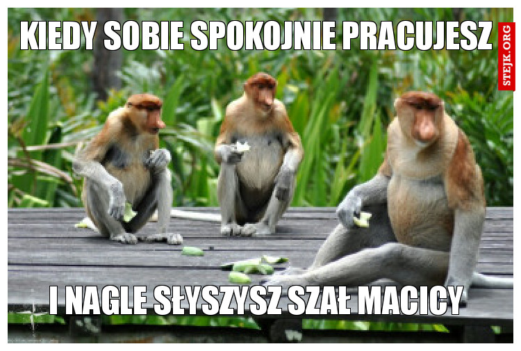 Kiedy sobie spokojnie pracujesz