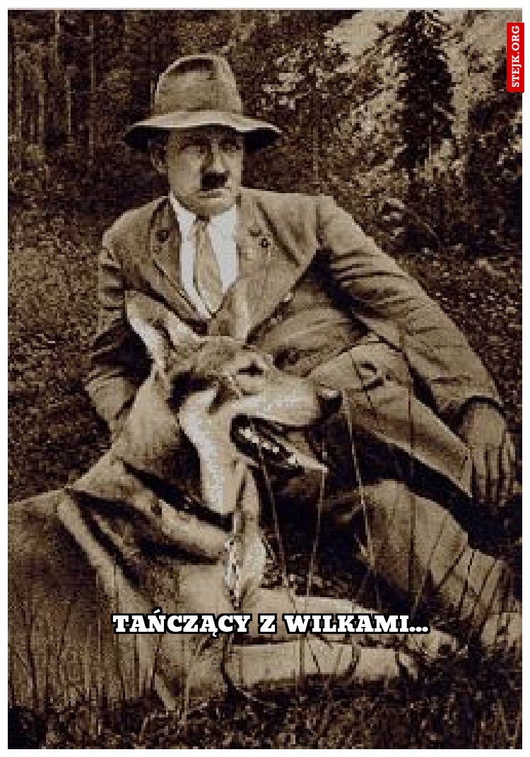 tańczący z wilkami...