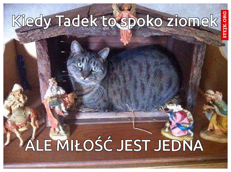 Kiedy Tadek to spoko ziomek