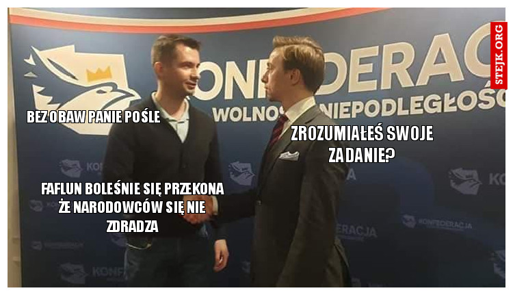 zrozumiałeś swoje zadanie?