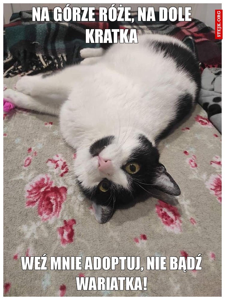 na górze róże, na dole kratka
