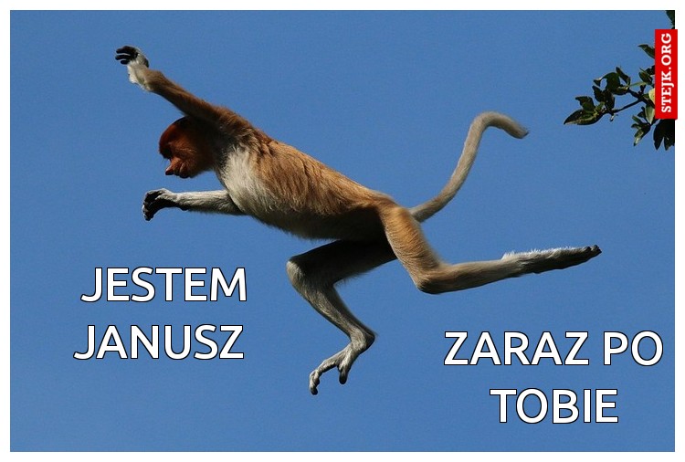 JESTEM JANUSZ 