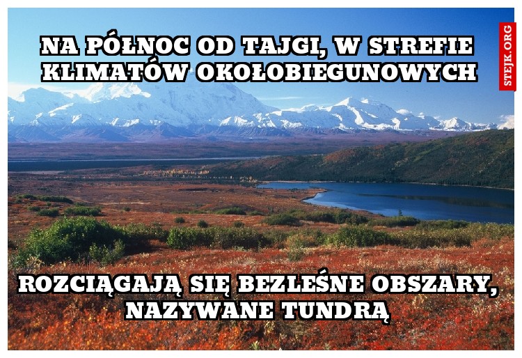 Zarówno latem jak i zimą