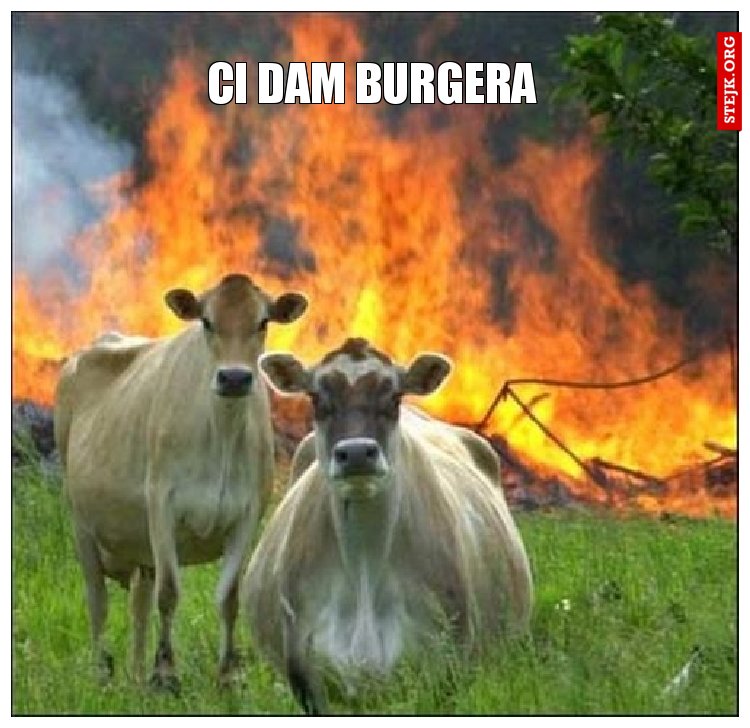 Ci dam burgera