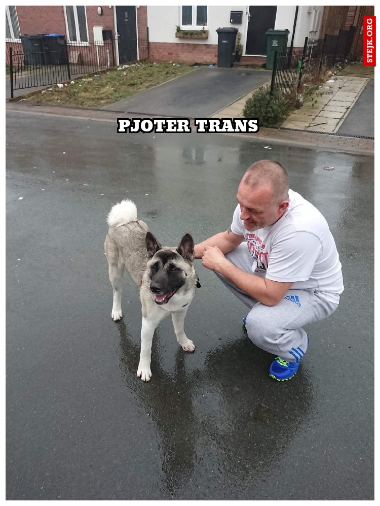 Pjoter Trans 