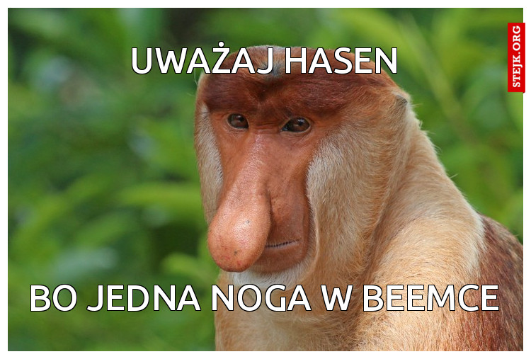 Uważaj HASEN