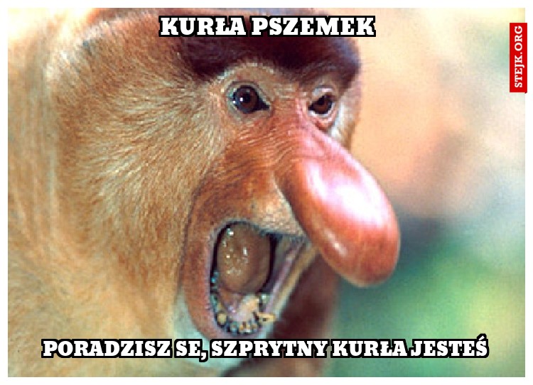 KURŁA PSZEMEK