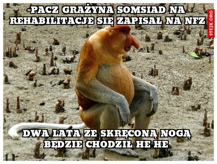 -Pacz Grażyna somsiad na rehabilitacje się zapisał na NFZ