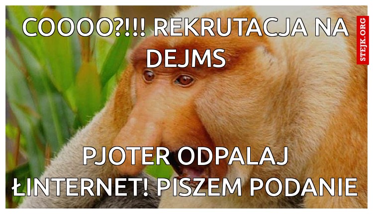 coooo?!!! rekrutacja na dejms