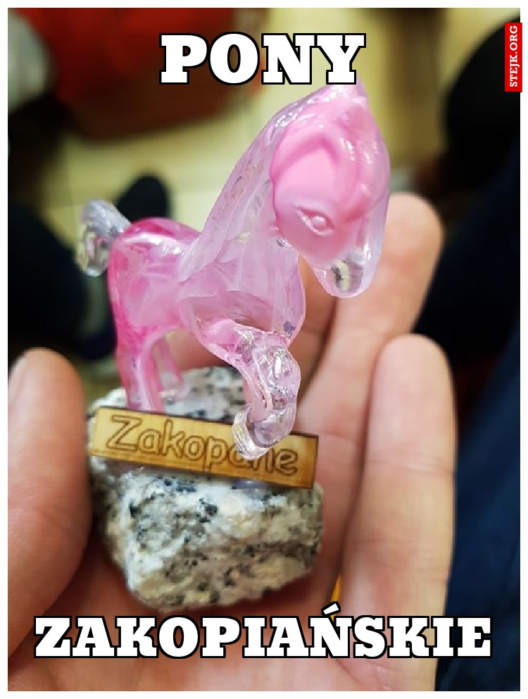 pony