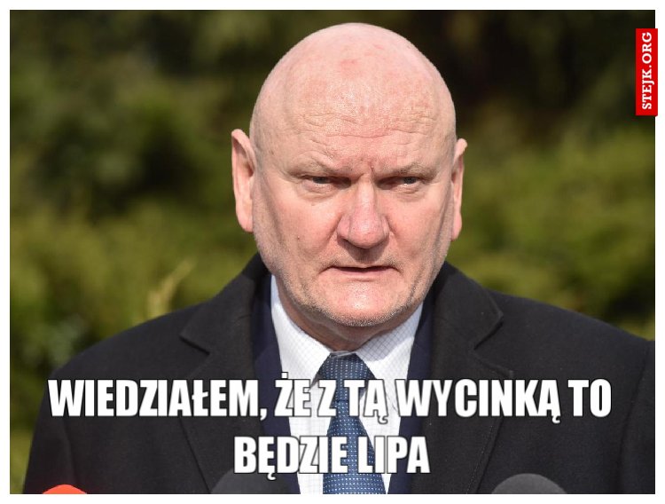 Wiedziałem, że z tą wycinką to będzie Lipa