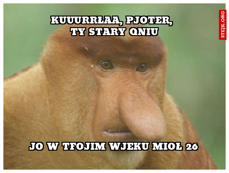             Kuuurrłaa, Pjoter,              Ty stary qniu