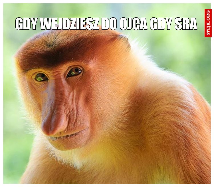 gdy wejdziesz do ojca gdy sra