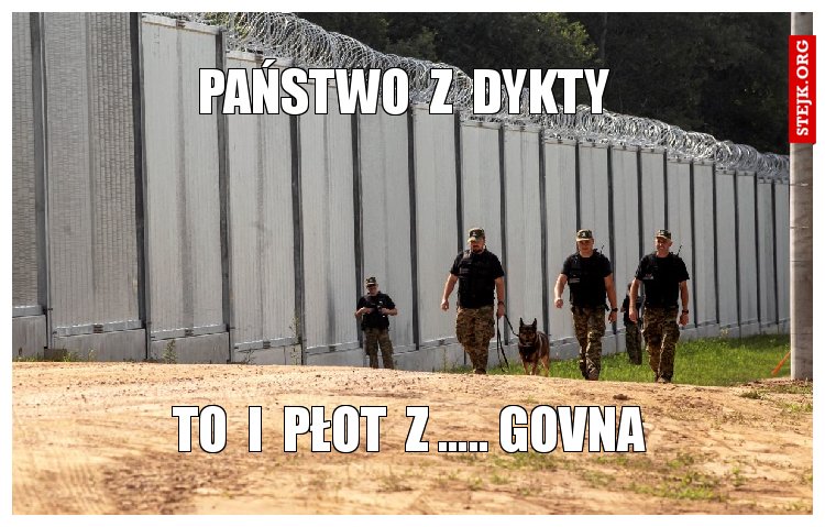państwo  z  dykty 