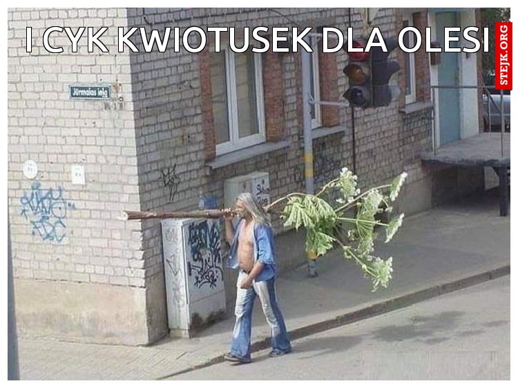 i cyk kwiotusek dla olesi