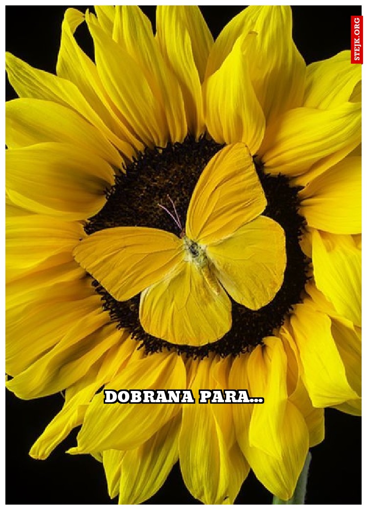 dobrana para...