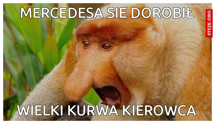 Mercedesa sie dorobił