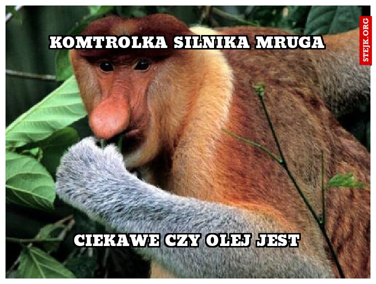 komtrolka silnika mruga
