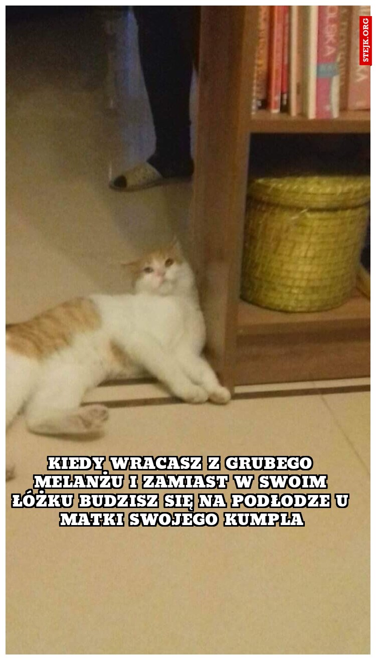 KIEDY WRACASZ Z GRUBEGO MELANŻU I ZAMIAST W SWOIM ŁÓŻKU BUDZISZ SIĘ NA PODŁODZE U MATKI SWOJEGO KUMPLA