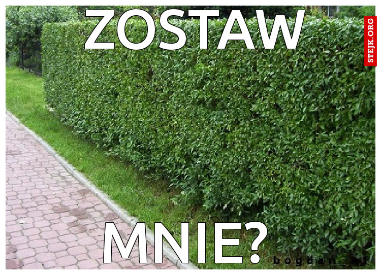 Zostaw