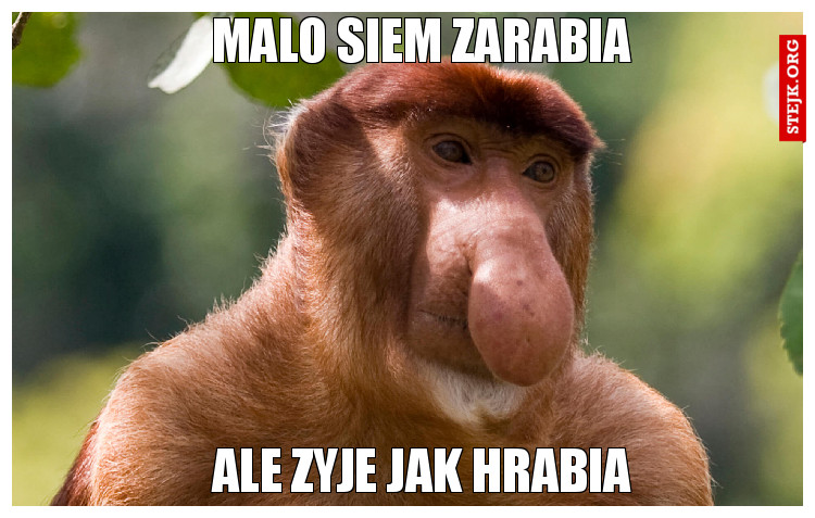 Malo siem zarabia