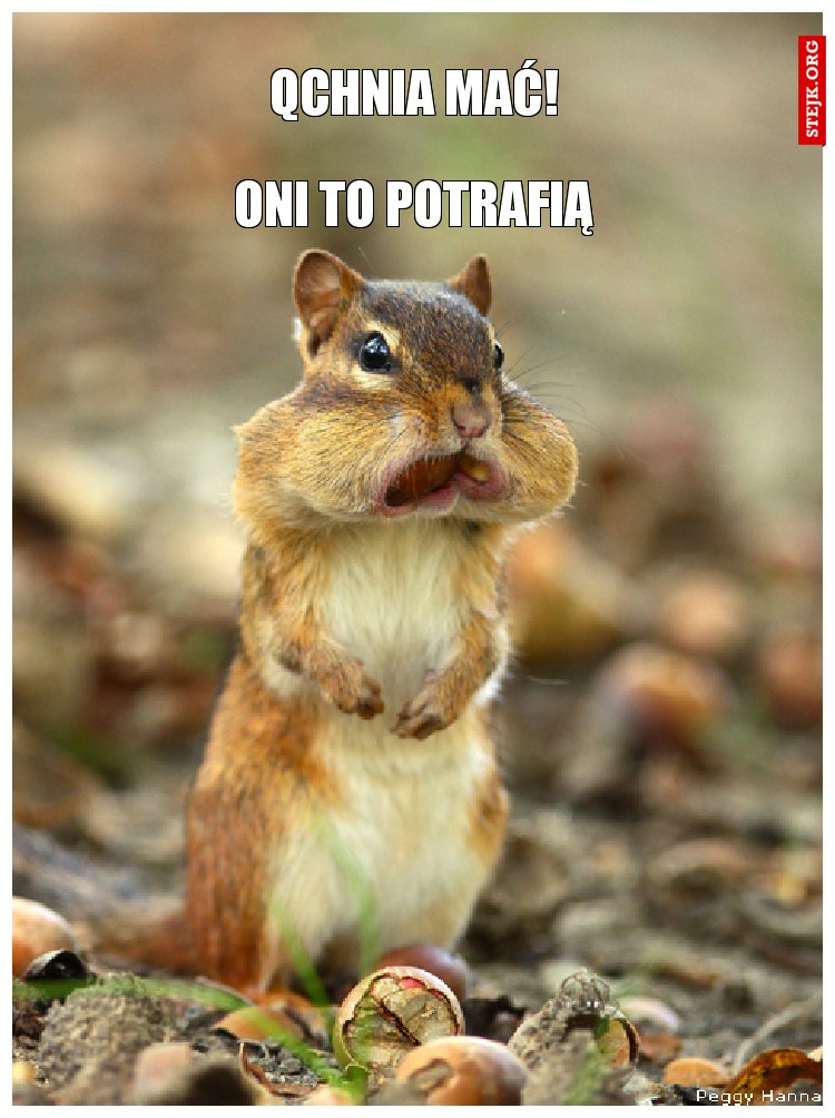 Qchnia mać!