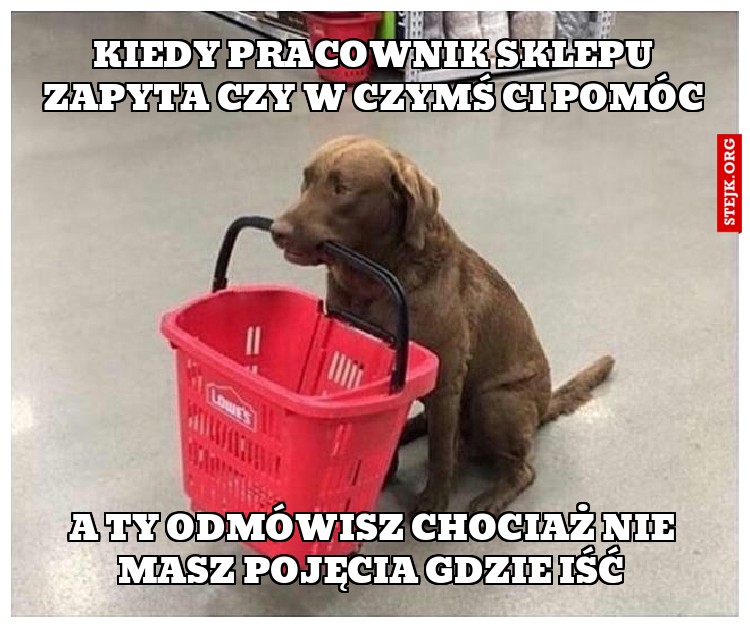 Kiedy pracownik sklepu zapyta czy w czymś Ci pomóc