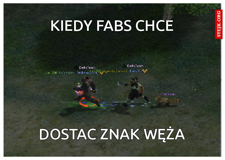 Kiedy fabs chce