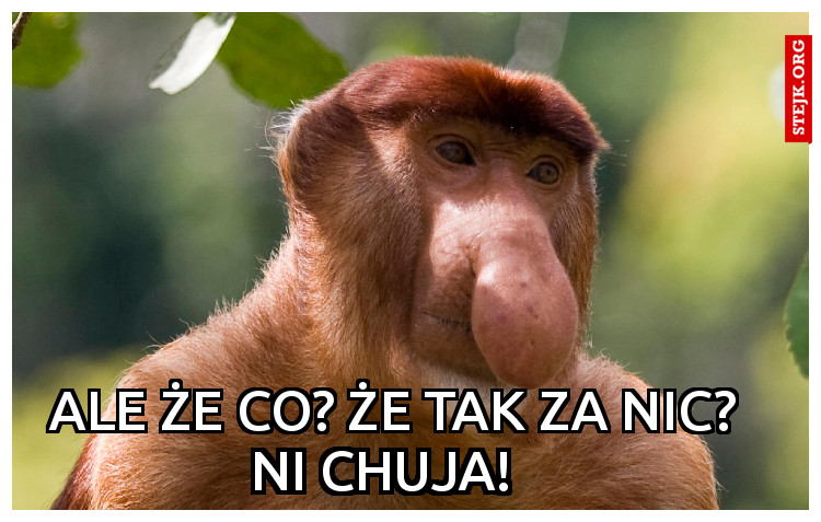 Ale że co? Że tak Za nic? 