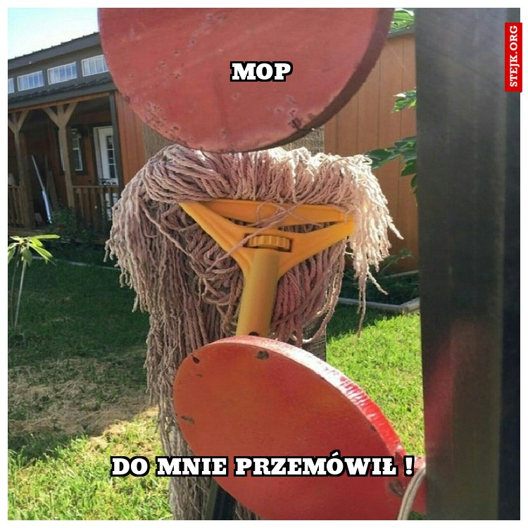 Mop