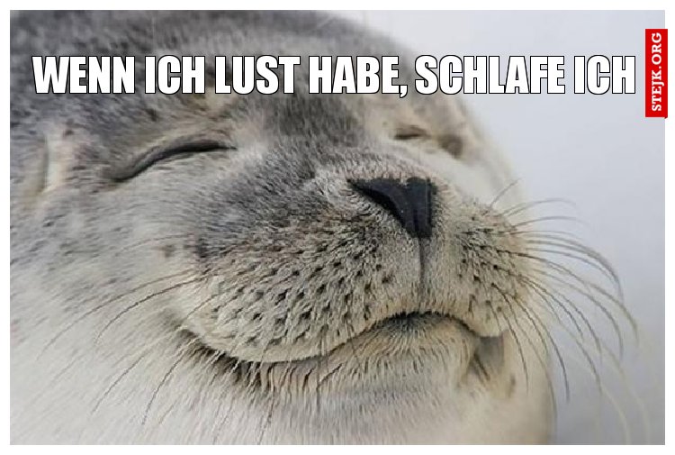 Wenn ich lust habe, schlafe ich