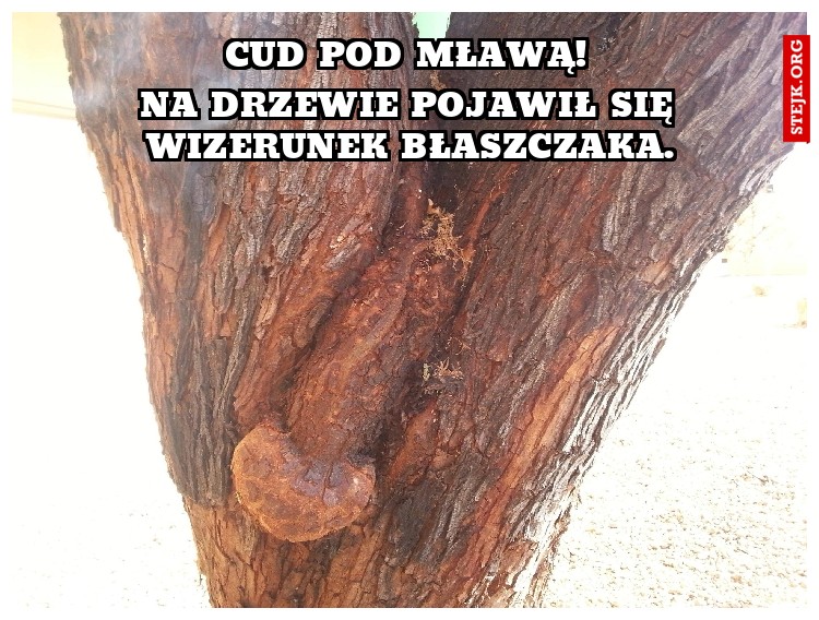 Cud pod Mławą!