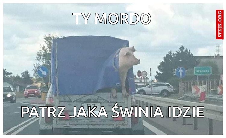 ty mordo