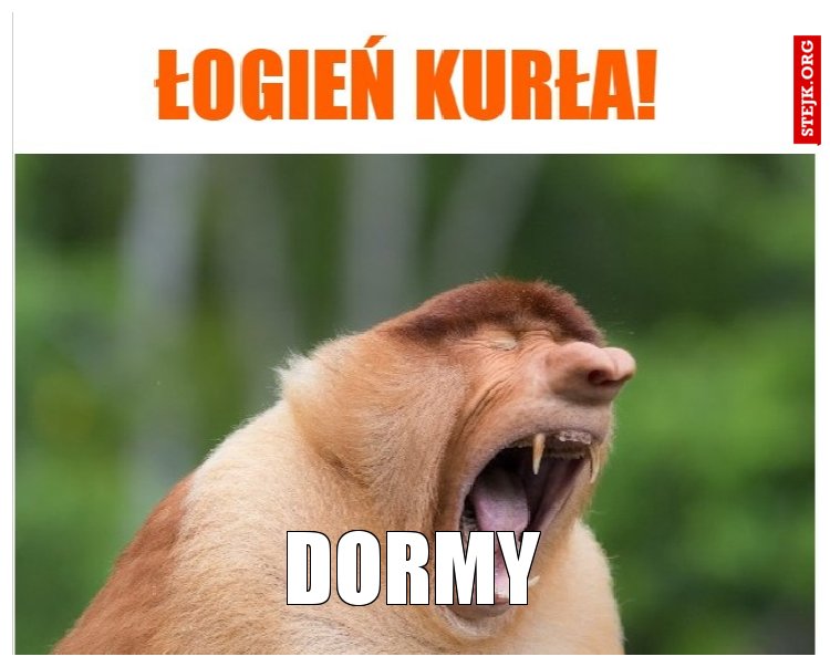 DORMY