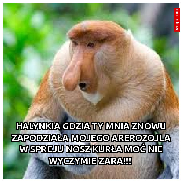 Halynkia gdzia ty mnia znowu zapodziała mojego arerozojla w spreju nosz kurła moć nie wyczymie zara!!! 