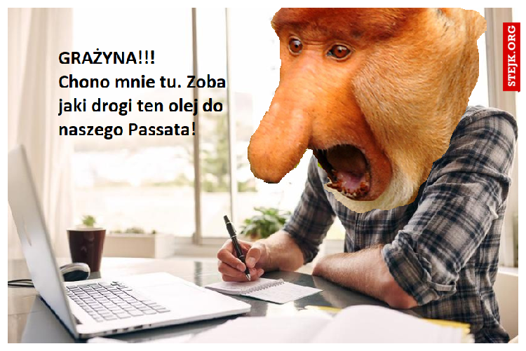 Olej do Passata