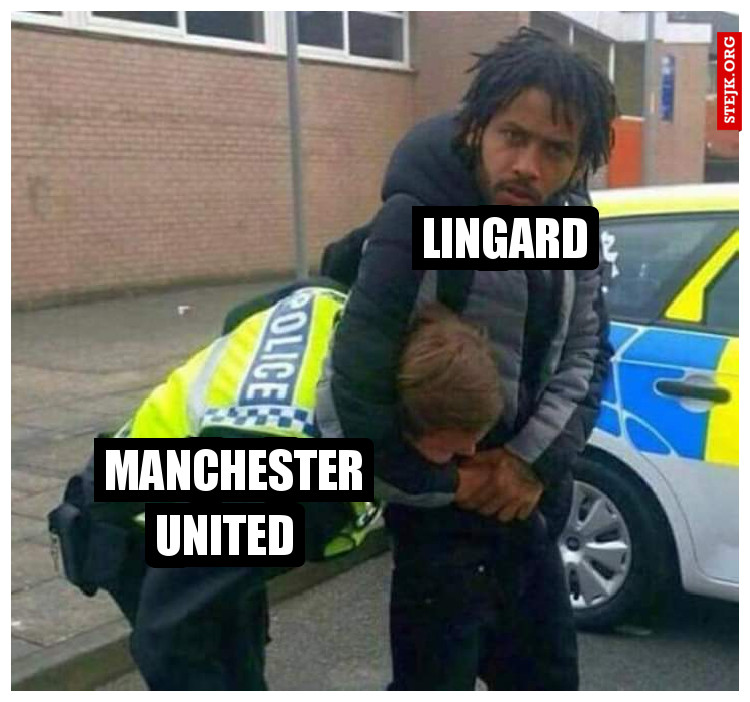 Lingard