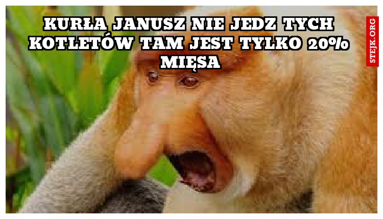 kurła janusz nie jedz tych kotletów tam jest tylko 20% mięsa